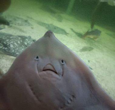 Lake District Coast Aquarium-Maryport必去景点