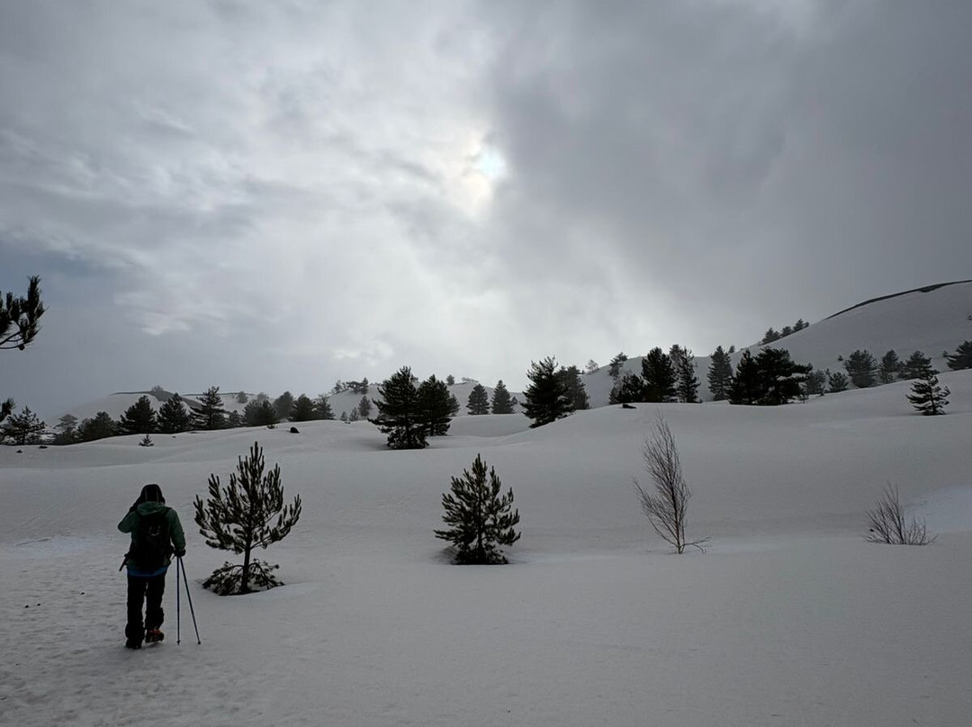 EtnaToursfromTaormina-林瓜格洛萨必去景点