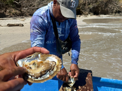 Turismo Curú-Paquera必去景点