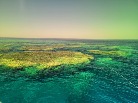 ORCA Dive Club Wadi Lahmy-马萨阿拉姆必去景点