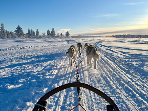 Hetta Huskies-Enontekiö必去景点