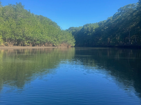 Pargos Adventures Day Tours-Playa Negra必去景点