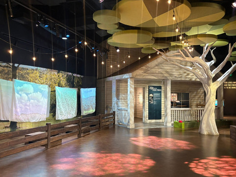 Mississippi Arts + Entertainment Experience-Meridian必去景点