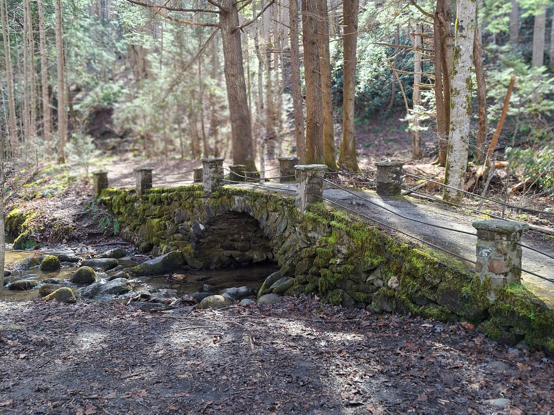 Elkmont Ghost Town-大雾山国家公园必去景点
