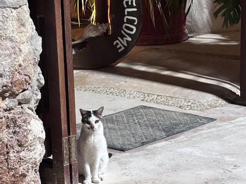 帕拉提酒店-限成人主图