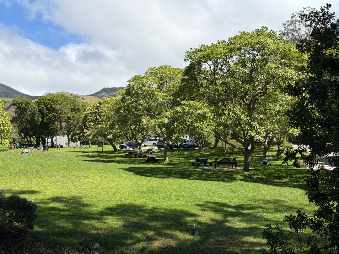 Ulu La'au (waimea Nature Park)-卡慕也拉必去景点