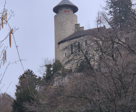 Ermitage-阿莱什海姆必去景点