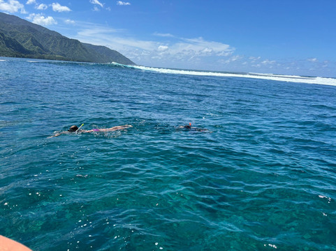 Tahiti Boat Excursion & Surf-Vairao必去景点