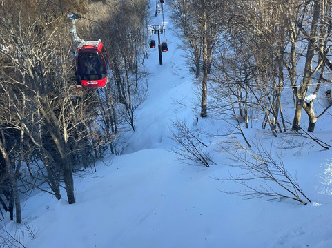 Hotel Silverhorn主图