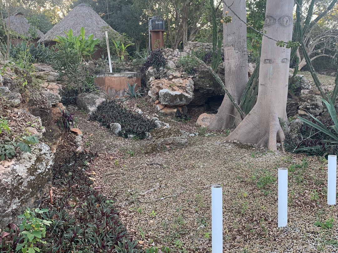 The Pickled Onion B&B and Restaurant主图