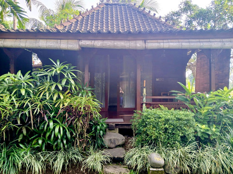 乌布艾莉亚别墅酒店主图