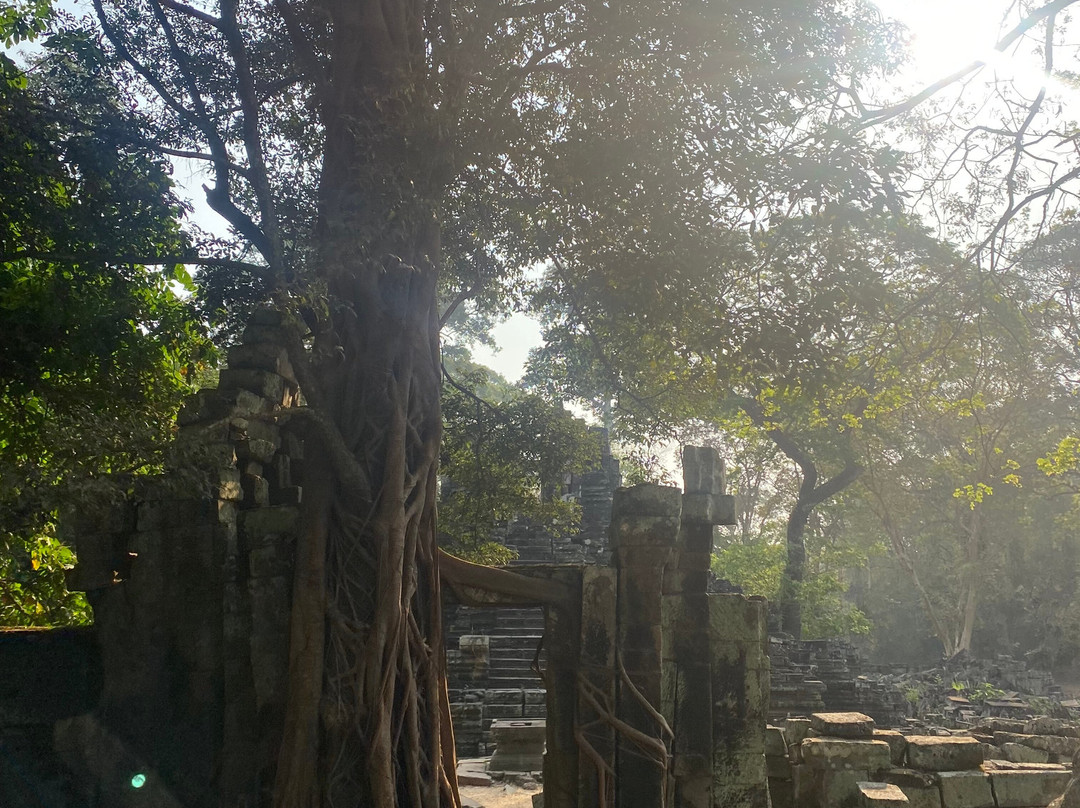 Kim Keo Tuk Tuk Driver-Svay Dangkum必去景点