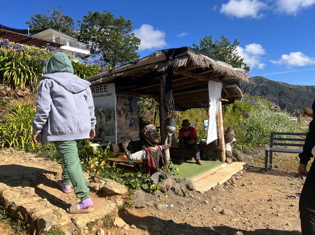 Northern Blossom Flower Farm-Atok必去景点