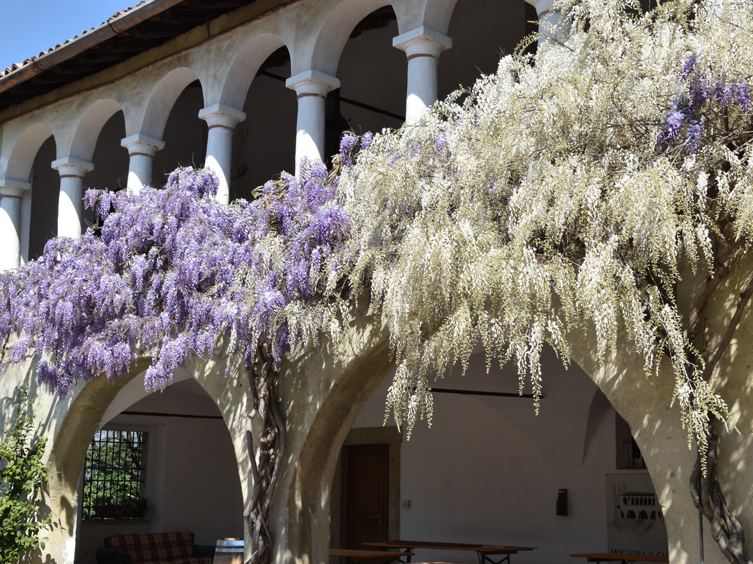 Azienda Agricola La Torre-Mocasina必去景点