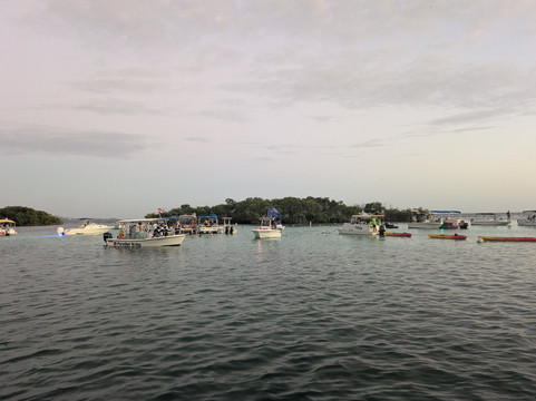 Paradise Scuba & Snorkeling Center-La Parguera必去景点