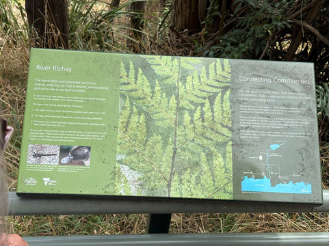 Agnes Falls-Hazel Park必去景点