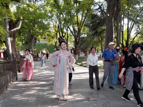 荐福寺小雁塔-西安市必去景点