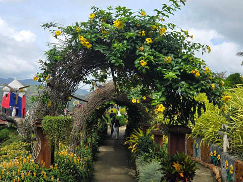 Sirao Pictoral Garden-宿雾市必去景点