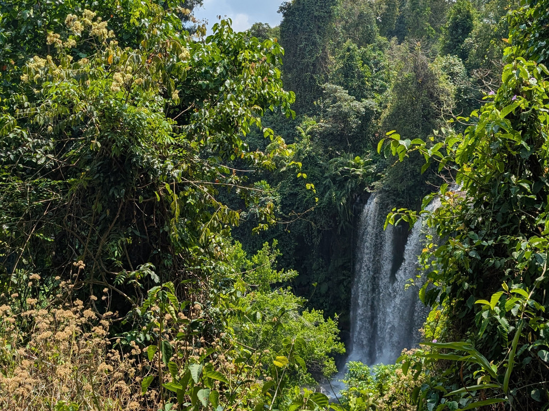 Trusty Tuk Tuk-暹粒必去景点