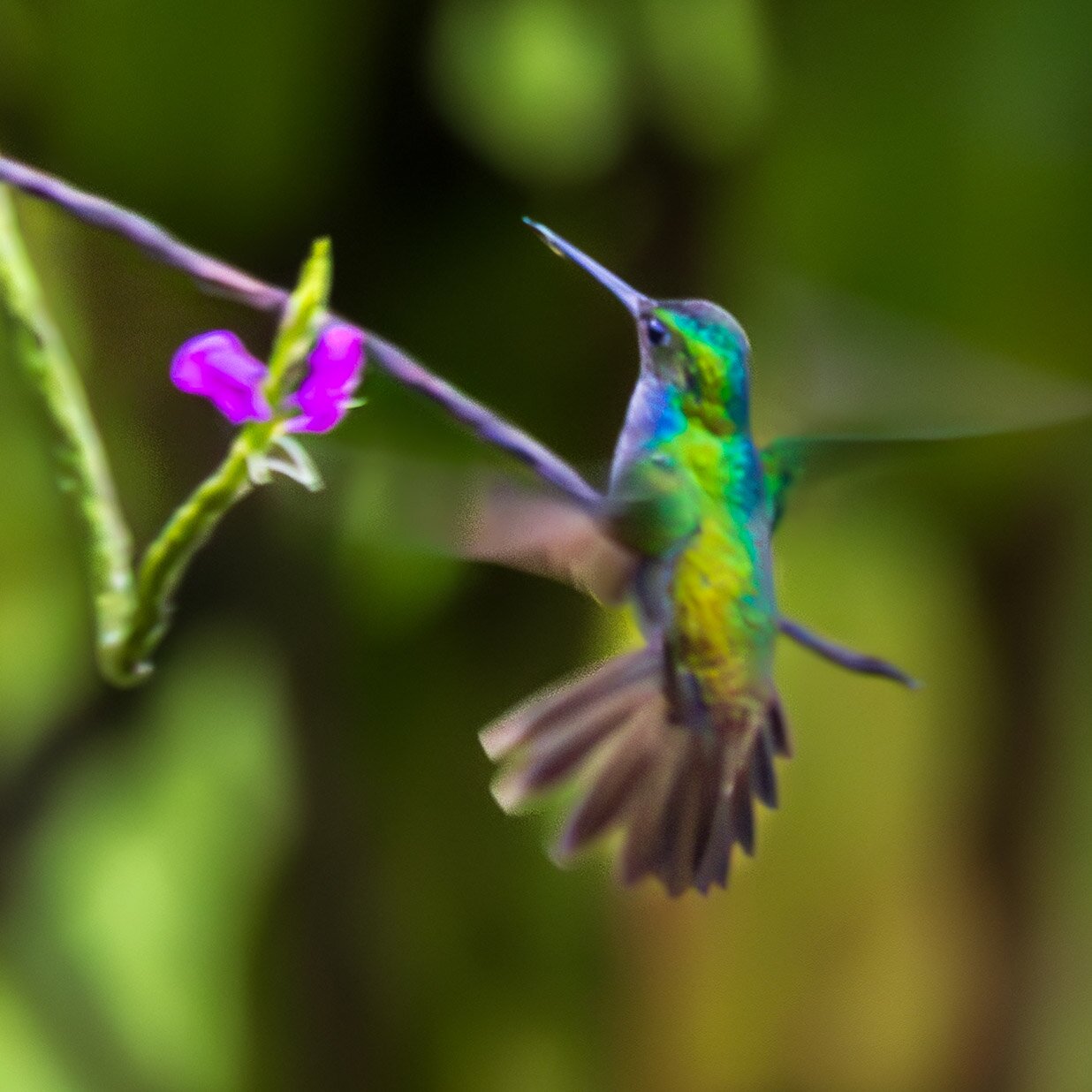 卡提弗海滩旅馆-浴室