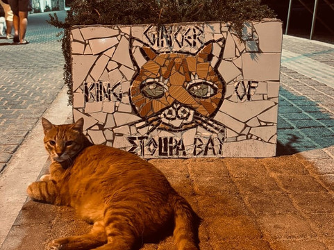 Ginger's Mosaic (King of Stoupa Bay)-Stoupa必去景点