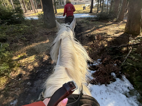 Horse Riding With Butch-波罗维兹必去景点