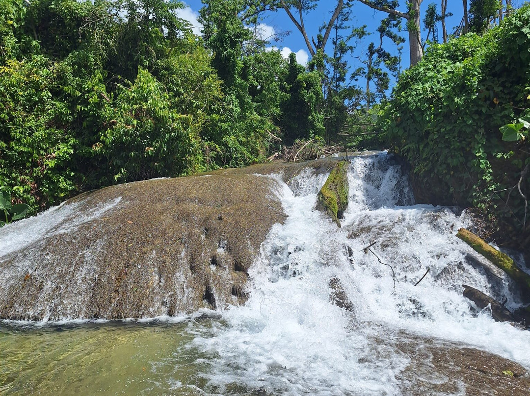 Special Memories Tours & Transfers-内格里尔必去景点