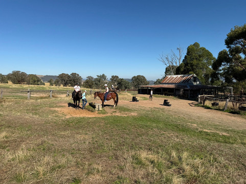 Watson's Mountain Country Trail Rides - Day Tours-曼斯菲尔德必去景点