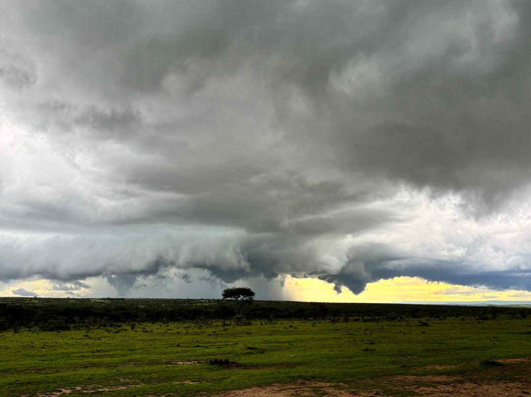 Adept Kenya Safaris-内罗毕必去景点