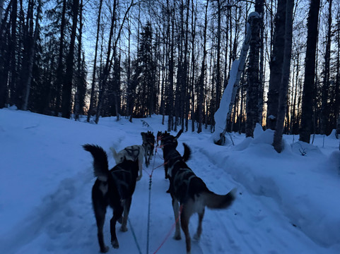 Snowhook Adventure Guides of Alaska-Willow必去景点