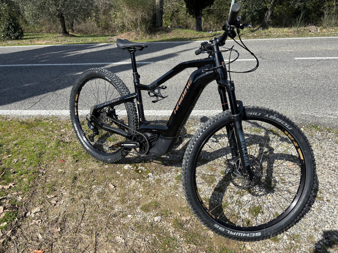 Best of Mas-锡耶纳必去景点