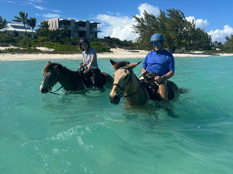 Provo Ponies-Long Bay Hills必去景点