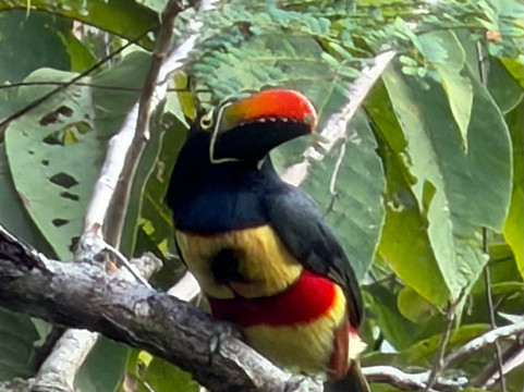 Sierpe Outfitters-Sierpe必去景点