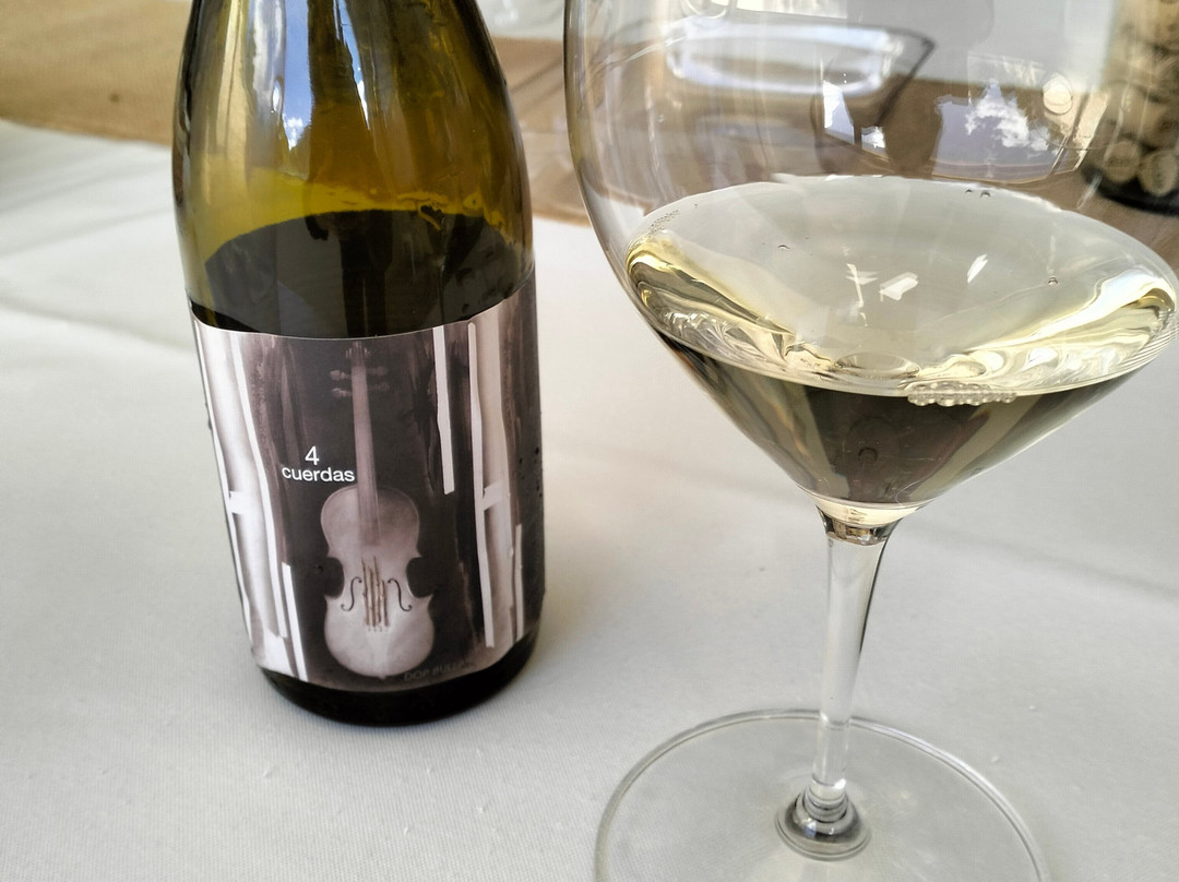 Bodegas Hydria-Cehegin必去景点