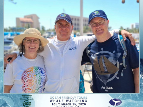 Ocean Friendly Whale Watching Tours-瓦拉塔港必去景点