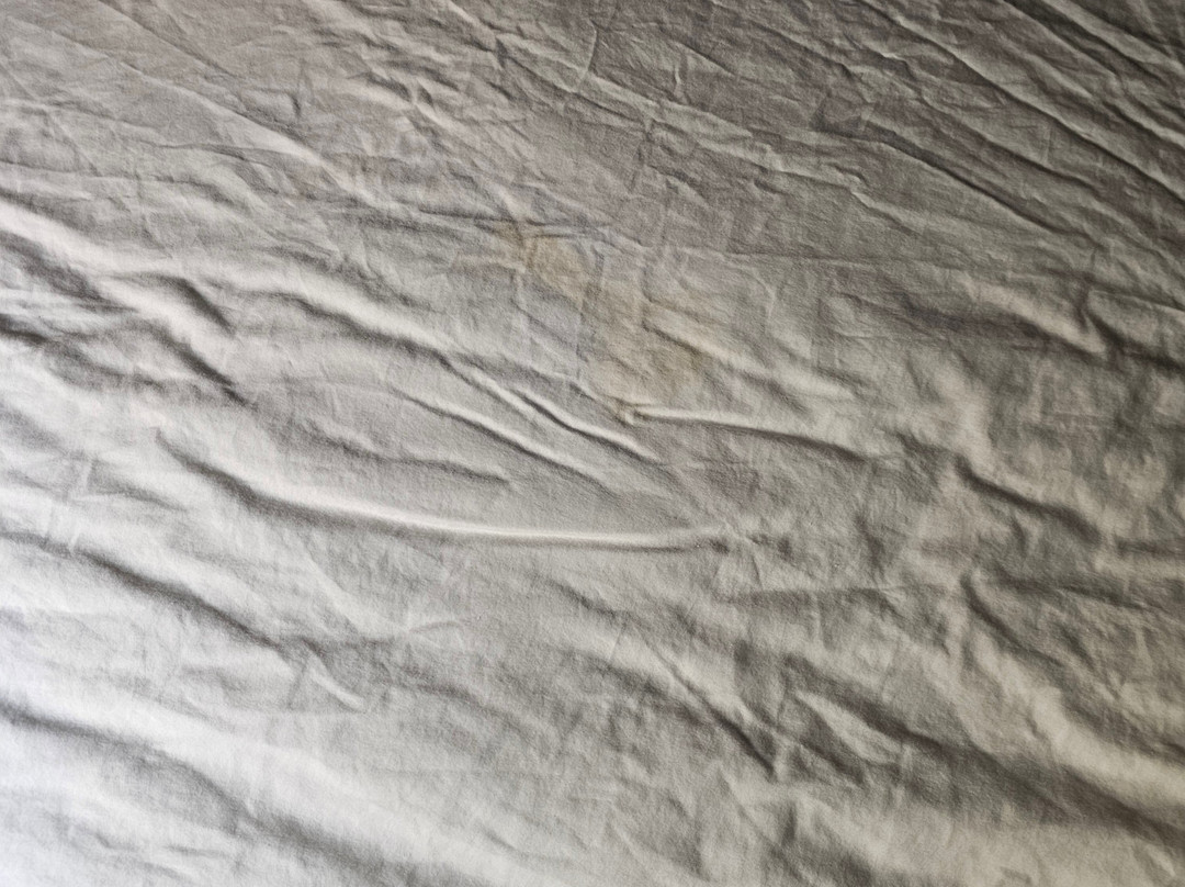 皮姆利科赛马场附近凯艺酒店主图