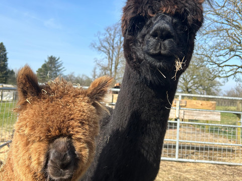 Wee Eden-West Calder必去景点