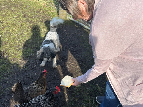 Wee Eden-West Calder必去景点