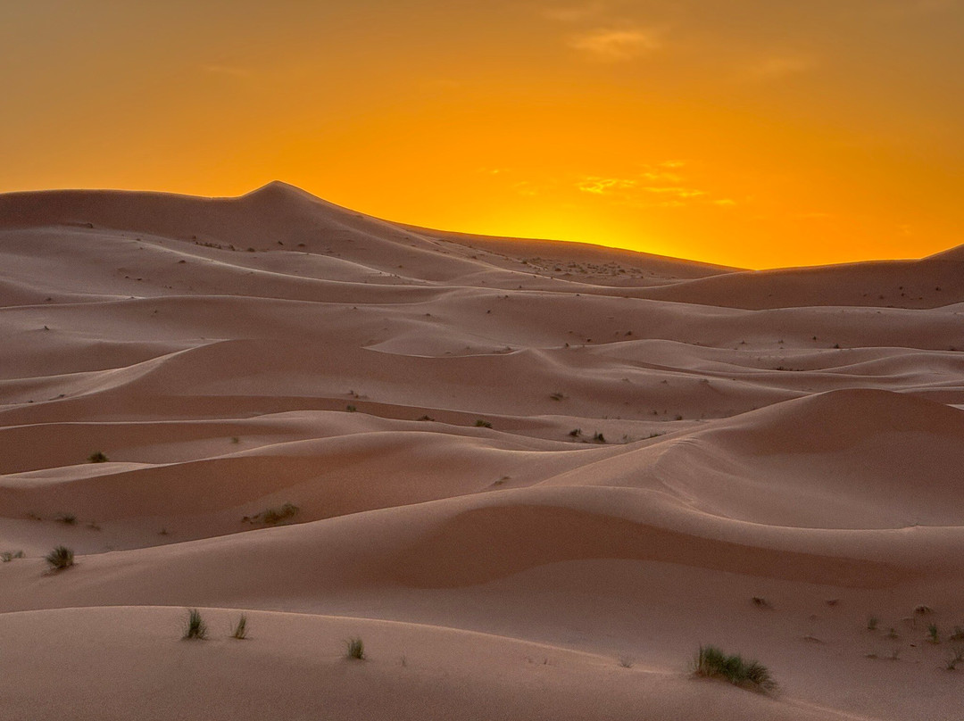 Dades Aventures - Day Tours-瓦尔扎扎特必去景点