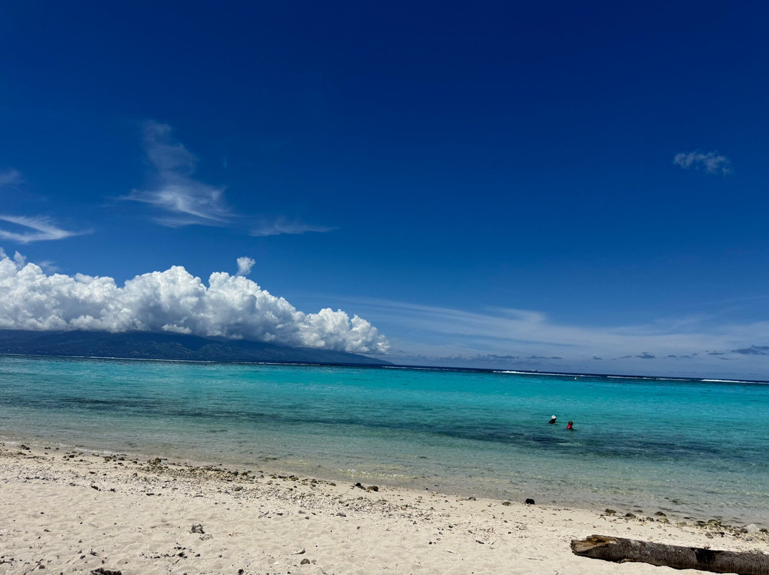 Plage Publique de Temae-莫雷阿岛必去景点