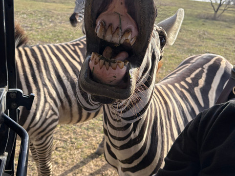 Blue Hills Ranch主图