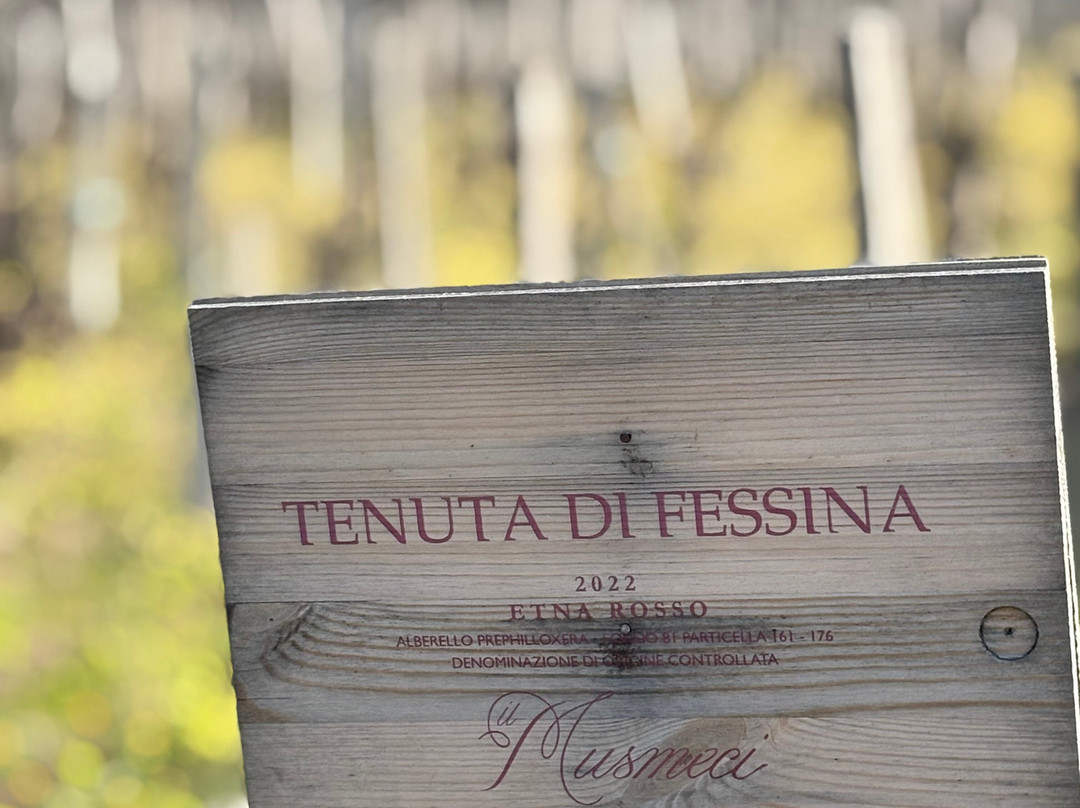 菲希纳泰努塔酒店主图