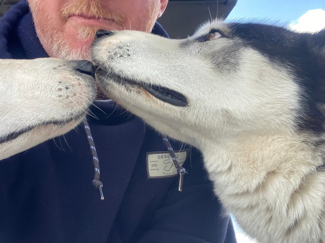 Timberline Racing Siberian Huskies-陶波必去景点