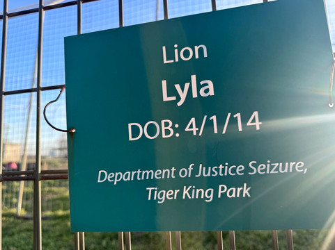 Turpentine Creek Wildlife Refuge-尤里卡斯普林斯必去景点