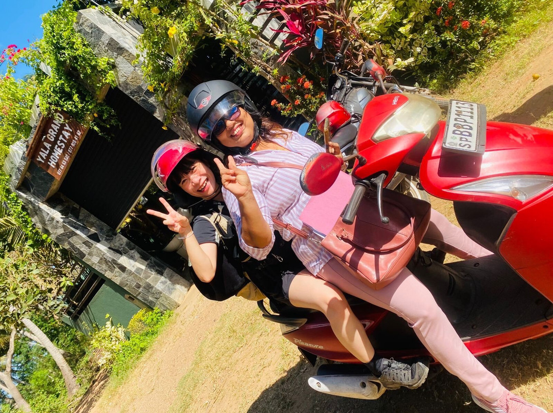 Yala Grand Homestay-Palatupana必去景点