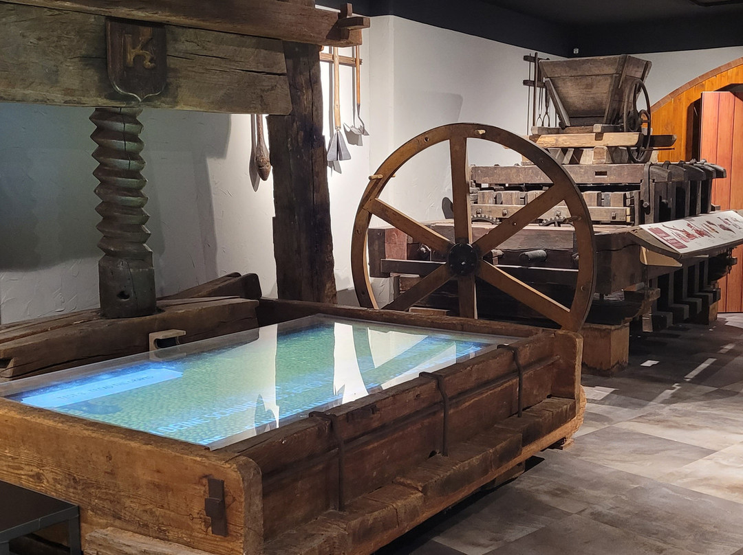 Musée des Vins d'Alsace-科尔马必去景点