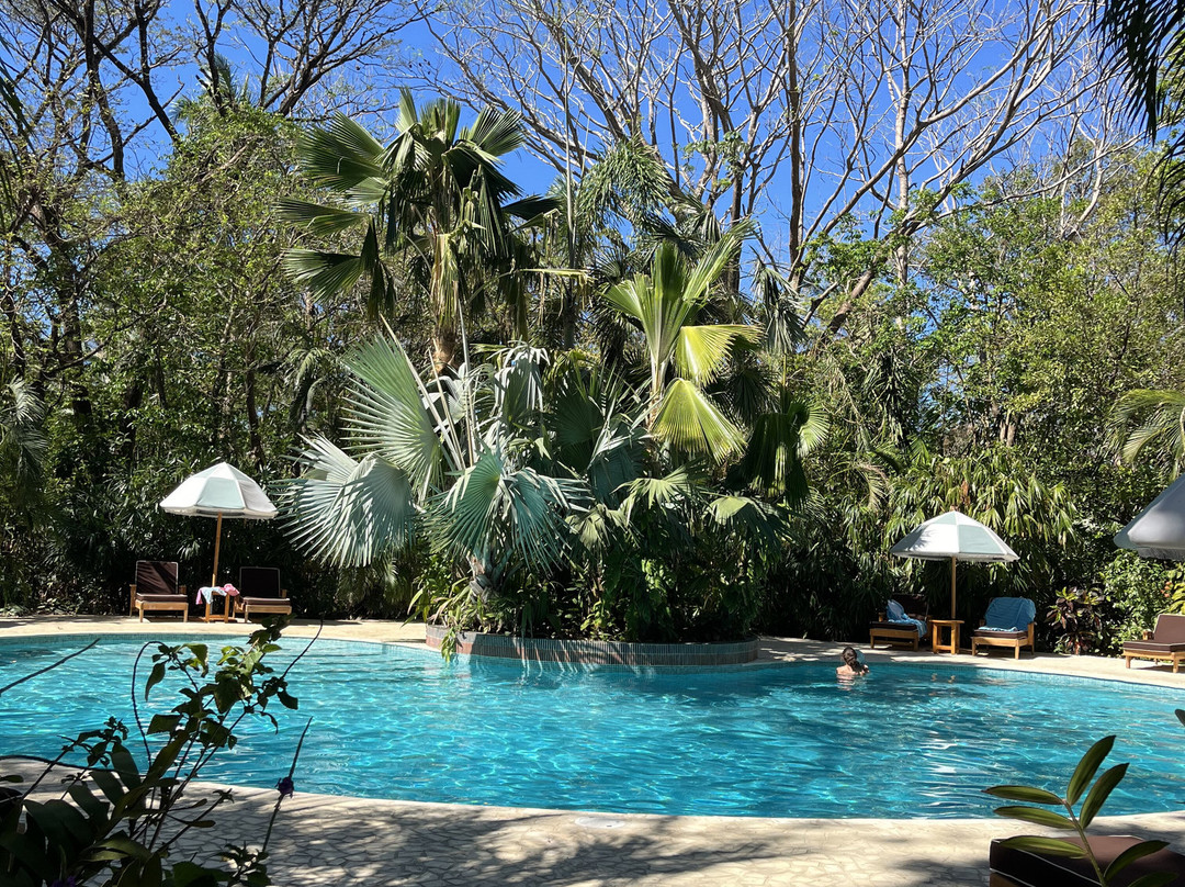 The Harmony Hotel主图