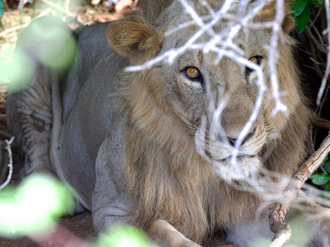 Vivi Il Kenya Con Sorriso-瓦塔木必去景点