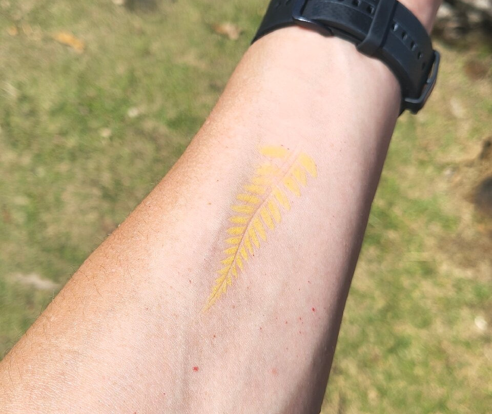 Vallé Advenature Park-Chamouny必去景点