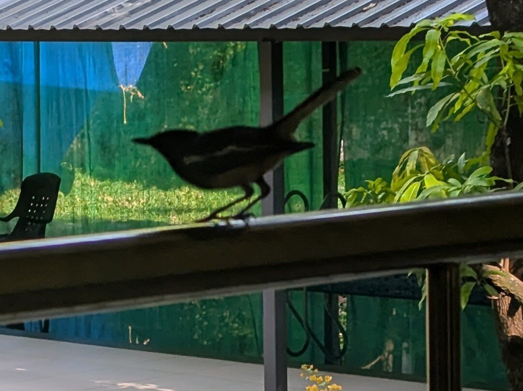 Shanthi Ayurveda Ashram-Palakkad必去景点